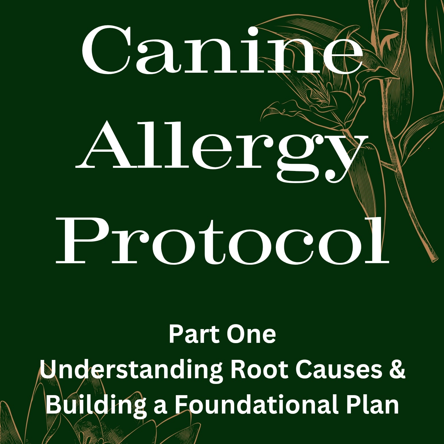 Part 1 Canine Allergy Protocol Guide | A PUP'S LIFE